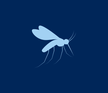 Mosquito Control Operation - Template