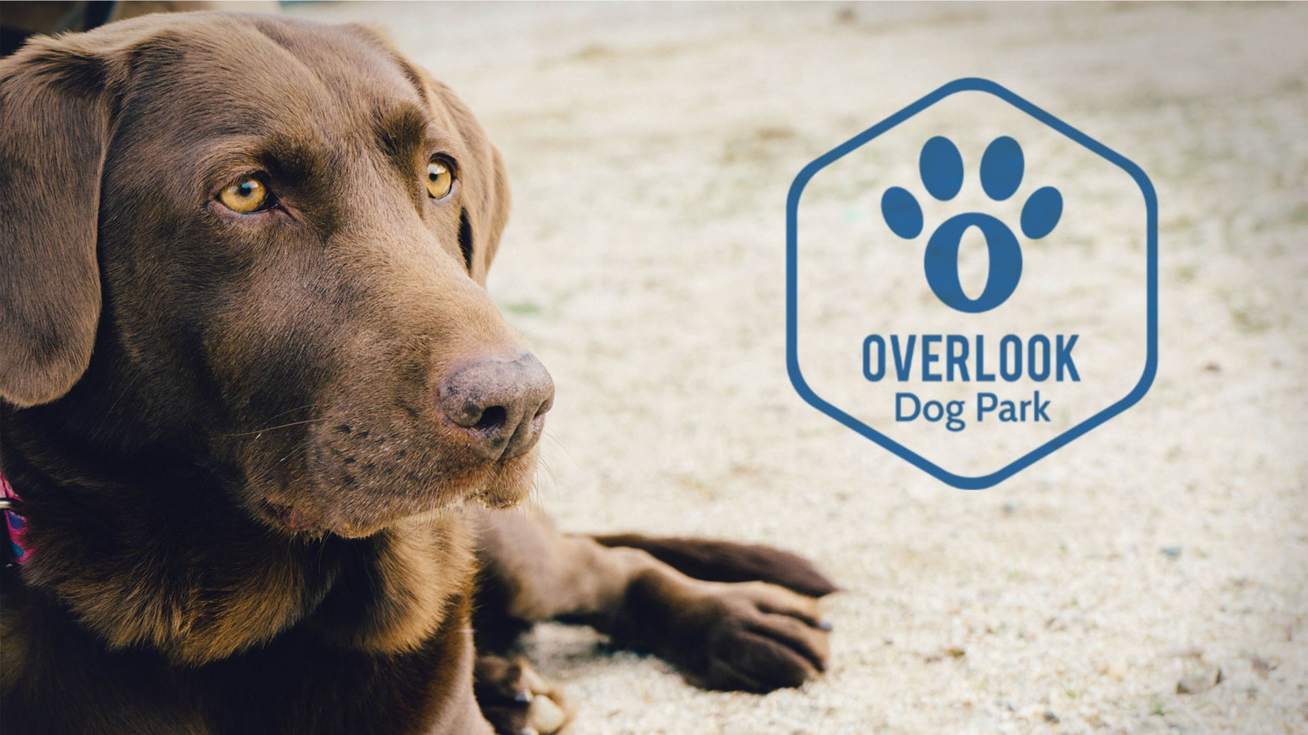 Overlook DOG PARK . Civic Plus